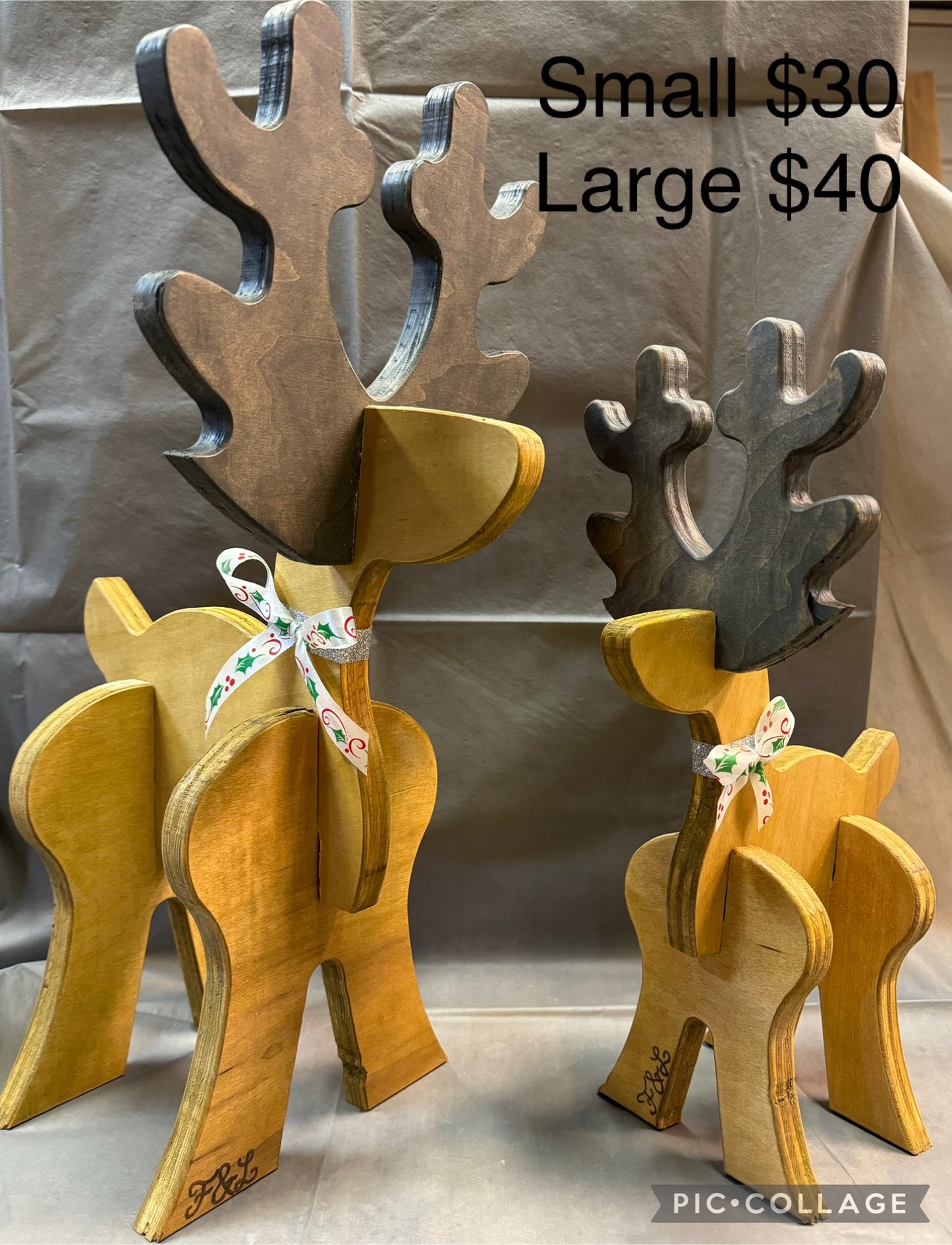 Reindeer